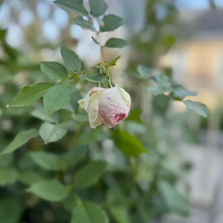 Les Terrasses De L Arc * Париж