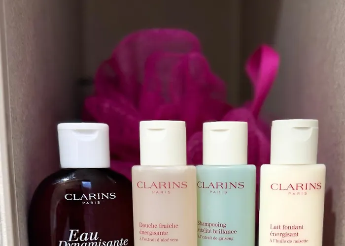 Les Terrasses De L Arc Apartment