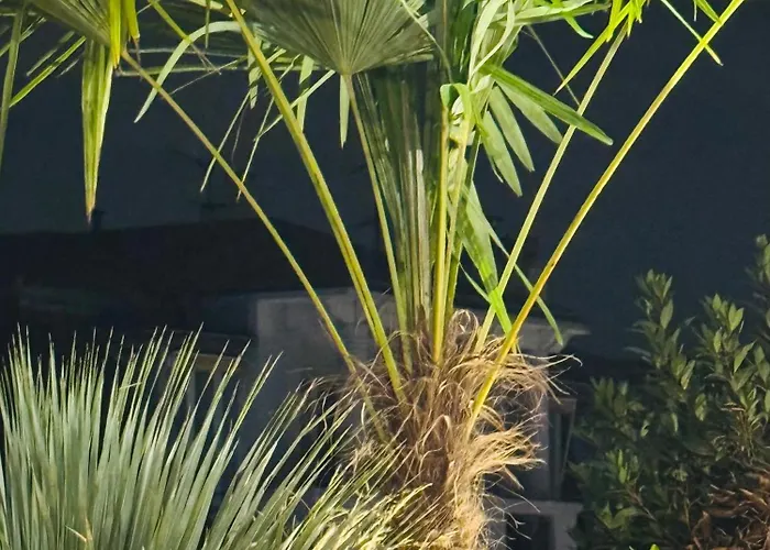 Les Terrasses De L Arc